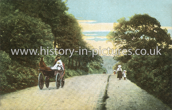 High Road towards Loughton, Buckhurst Hill, Essex. c.1905